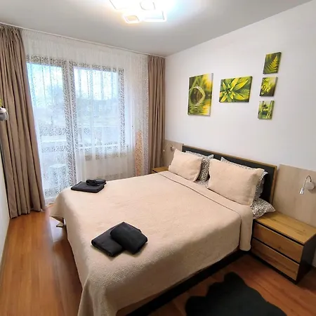 公寓 Vip Belvedere Club 班斯科