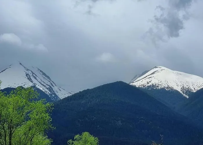 Vip Belvedere Club * 班斯科