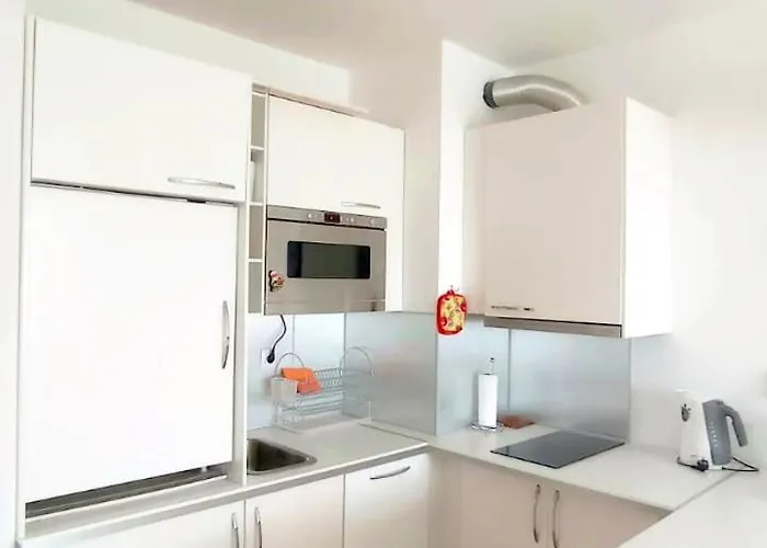 Vip Belvedere Club 公寓 班斯科