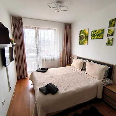 Vip Belvedere Club * バンスコ